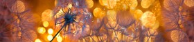 Кухонный фартук Мерцание Одуванчики золотистые 3 серебро в Вилюйске - vilyujsk.katalogmebeli.com | фото